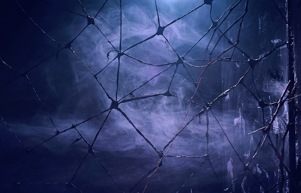 Exploring Neural Networks: Types and Applications